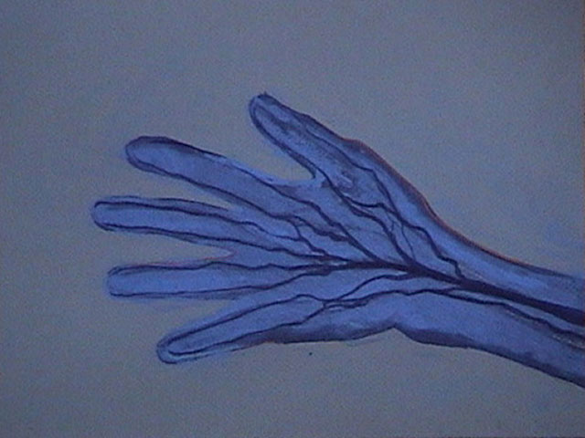 The Veins of the Hand